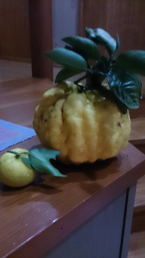巨大柚